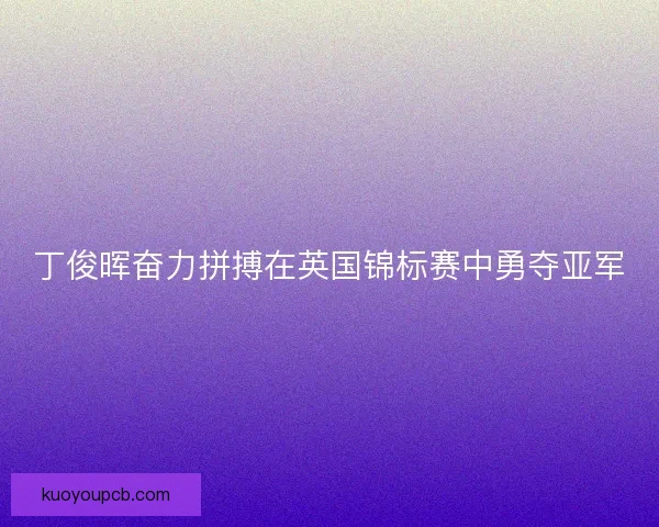 丁俊晖奋力拼搏在英国锦标赛中勇夺亚军