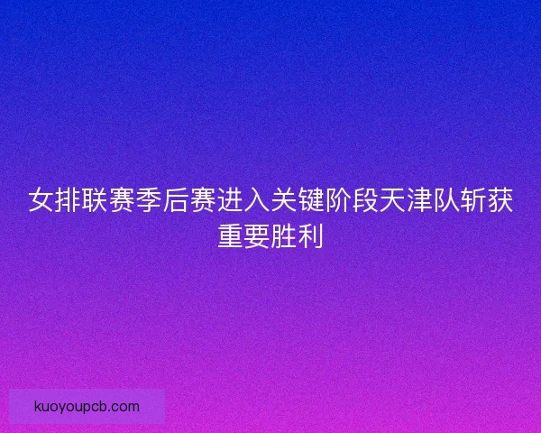 女排联赛季后赛进入关键阶段天津队斩获重要胜利