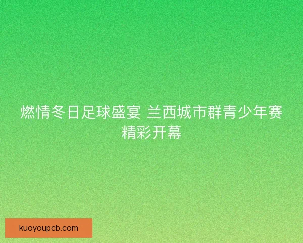 燃情冬日足球盛宴 兰西城市群青少年赛精彩开幕